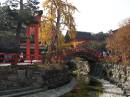 Autumn in Japan * 600 x 450 * (188KB)